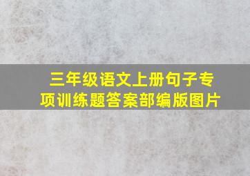 三年级语文上册句子专项训练题答案部编版图片