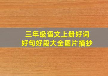 三年级语文上册好词好句好段大全图片摘抄