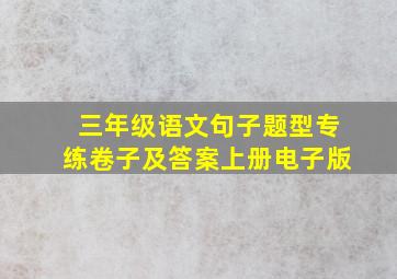 三年级语文句子题型专练卷子及答案上册电子版