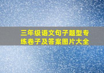 三年级语文句子题型专练卷子及答案图片大全