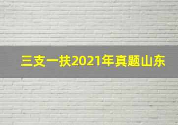 三支一扶2021年真题山东