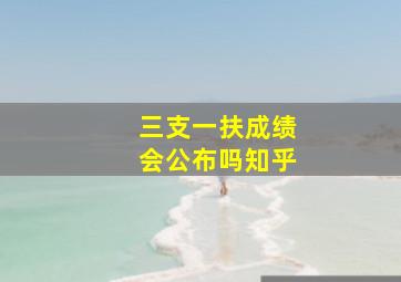 三支一扶成绩会公布吗知乎