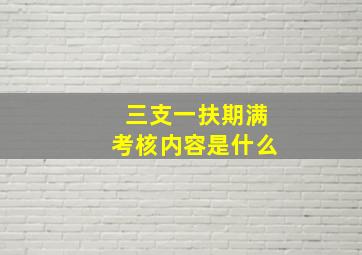 三支一扶期满考核内容是什么