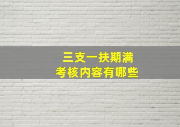 三支一扶期满考核内容有哪些