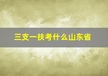 三支一扶考什么山东省