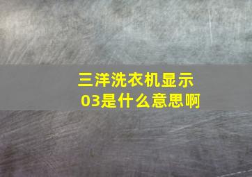 三洋洗衣机显示03是什么意思啊