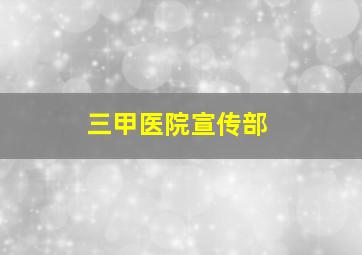 三甲医院宣传部