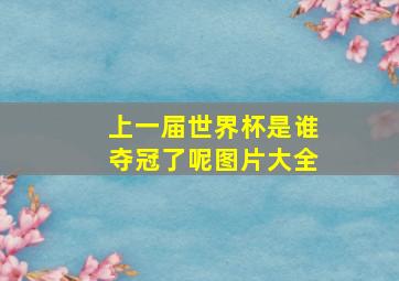 上一届世界杯是谁夺冠了呢图片大全