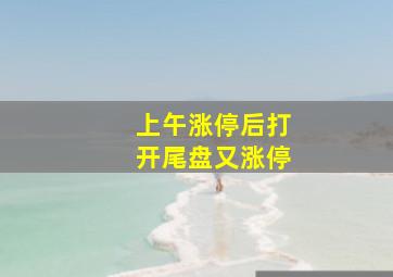 上午涨停后打开尾盘又涨停