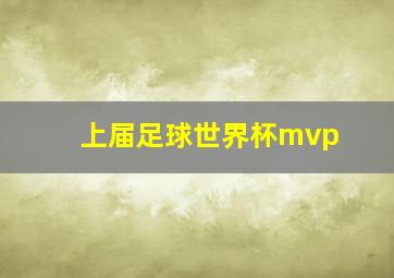 上届足球世界杯mvp