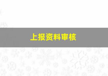 上报资料审核