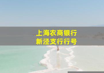 上海农商银行新泾支行行号