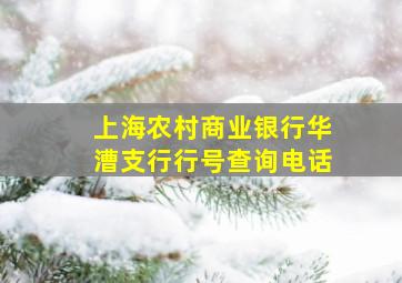 上海农村商业银行华漕支行行号查询电话