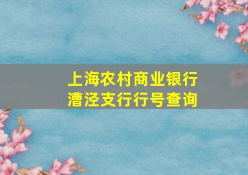 上海农村商业银行漕泾支行行号查询