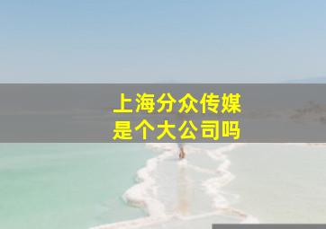 上海分众传媒是个大公司吗