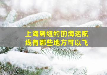 上海到纽约的海运航线有哪些地方可以飞