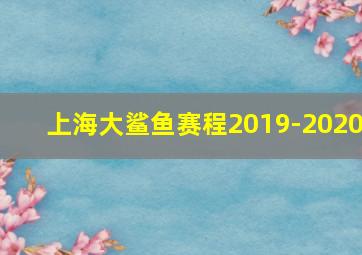 上海大鲨鱼赛程2019-2020