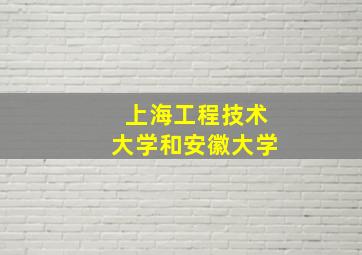 上海工程技术大学和安徽大学