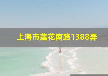 上海市莲花南路1388弄