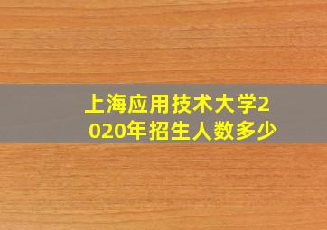 上海应用技术大学2020年招生人数多少