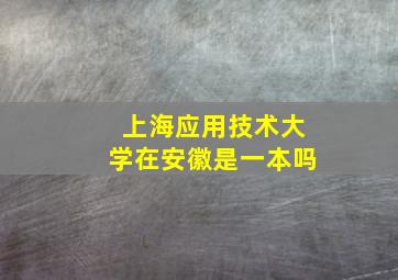 上海应用技术大学在安徽是一本吗