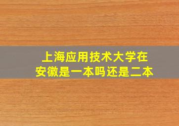 上海应用技术大学在安徽是一本吗还是二本