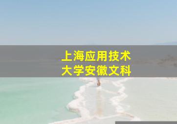 上海应用技术大学安徽文科