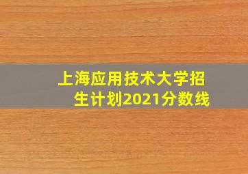 上海应用技术大学招生计划2021分数线