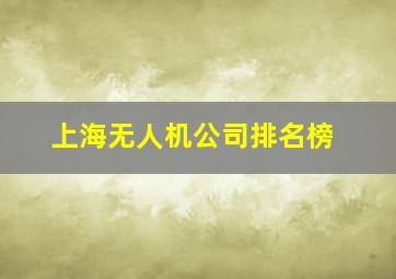 上海无人机公司排名榜