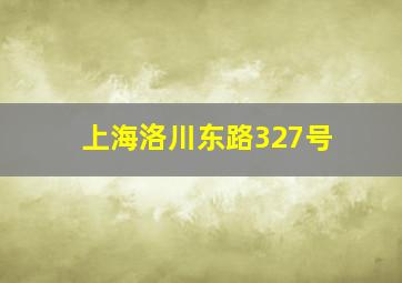 上海洛川东路327号