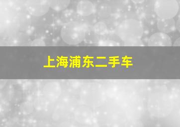 上海浦东二手车