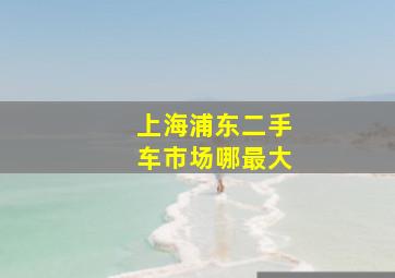 上海浦东二手车市场哪最大