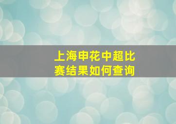 上海申花中超比赛结果如何查询