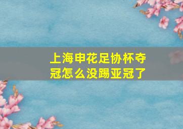 上海申花足协杯夺冠怎么没踢亚冠了