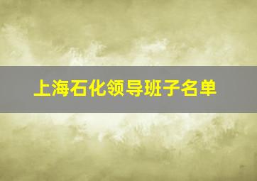 上海石化领导班子名单