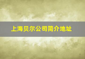 上海贝尔公司简介地址