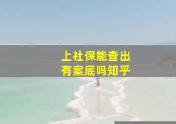 上社保能查出有案底吗知乎