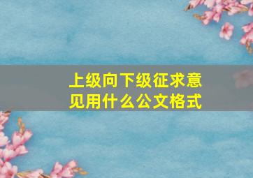 上级向下级征求意见用什么公文格式