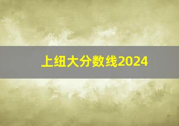 上纽大分数线2024