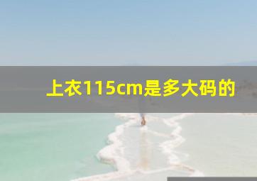 上衣115cm是多大码的