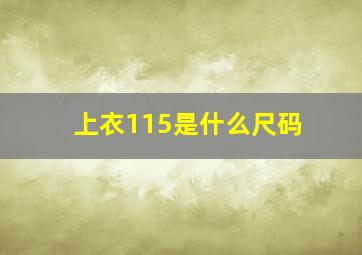 上衣115是什么尺码