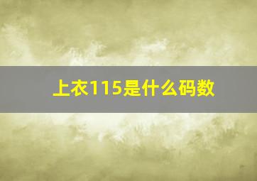 上衣115是什么码数