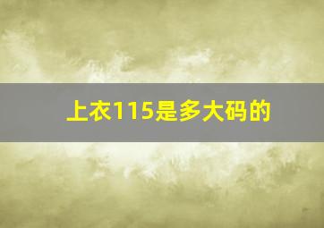 上衣115是多大码的