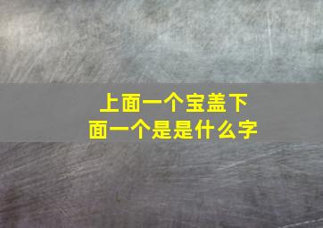 上面一个宝盖下面一个是是什么字