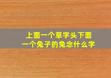 上面一个草字头下面一个兔子的兔念什么字