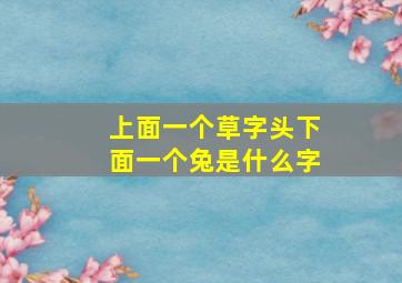 上面一个草字头下面一个兔是什么字