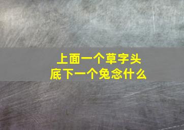 上面一个草字头底下一个兔念什么