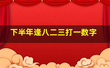 下半年逢八二三打一数字