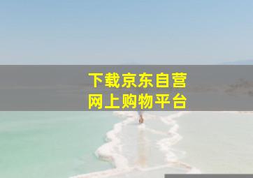 下载京东自营网上购物平台