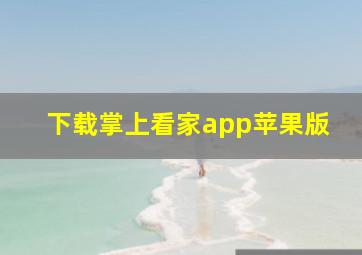 下载掌上看家app苹果版